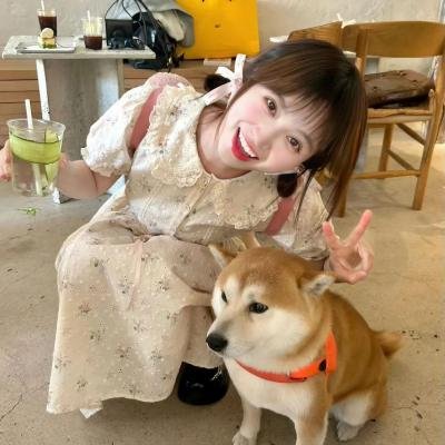 口碑佳作